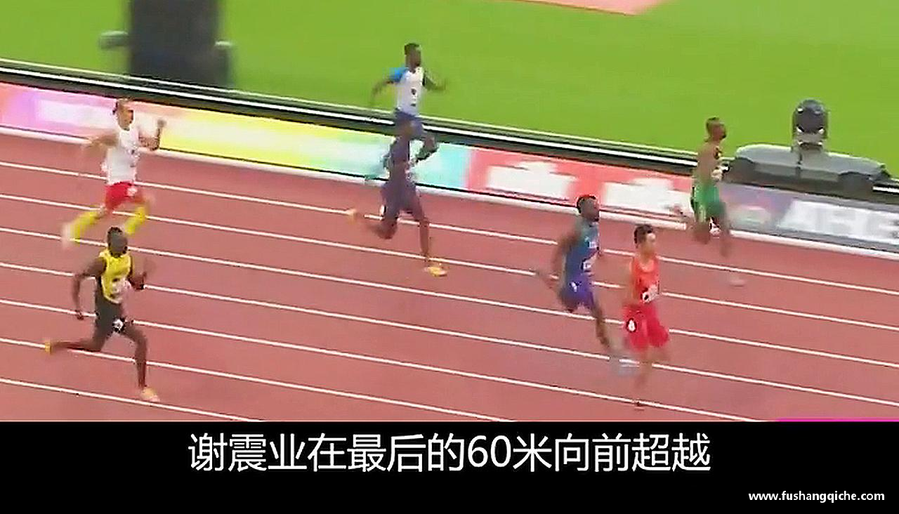 精彩瞬间，尽在体育